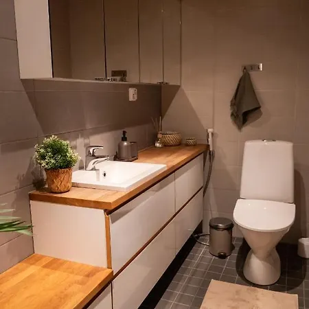 Unique In Apartment Rovaniemi